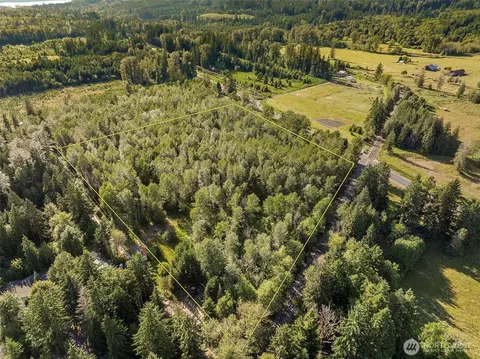 0 Park Junction Rd E, Elbe, WA 98330 photo 10