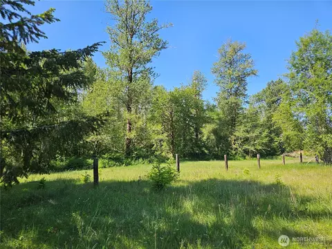 0 Park Junction Rd E, Elbe, WA 98330