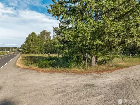 0 Park Junction Rd E, Elbe, WA 98330 photo 15