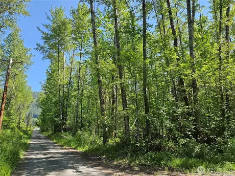 0 Park Junction Rd E, Elbe, WA 98330 photo 2