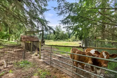 Exterior - 21016 E 26th Ave, Spanaway, WA 98387 photo 15 of 17
