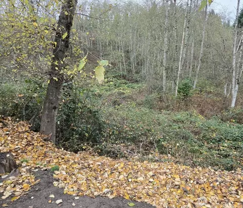 8201 5th Ave W, Everett, WA 98204 photo 3