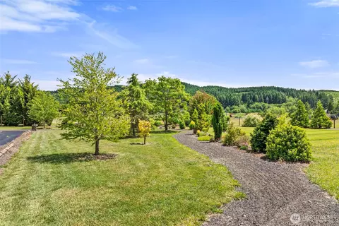 Other - 1677 N Fork Rd, Chehalis, WA 98532 photo 6 of 7