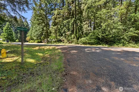 11103 Leschi Cir, Anderson Island, WA 98303