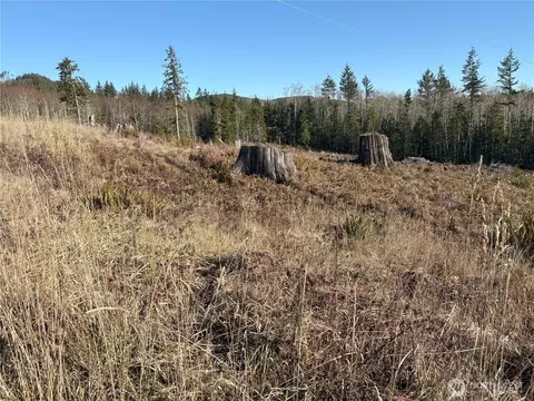 0 B-1000 Rd, Sequim, WA 98382 photo 11