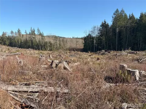 0 B-1000 Rd, Sequim, WA 98382 photo 16
