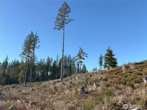 0 B-1000 Rd, Sequim, WA 98382 photo 12
