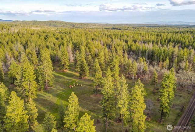 0 Lot 15 Greyback Mt Rd, Goldendale, WA 98620