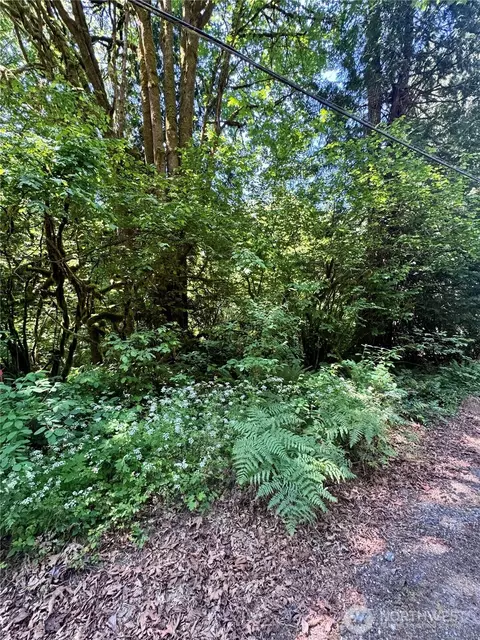 12014 126th Ave NW, Gig Harbor, WA 98329