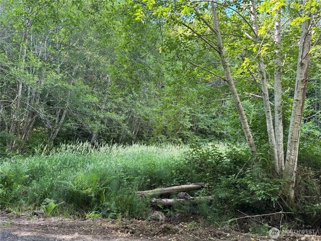 190 W Thunderbird Dr, Elma, WA 98541