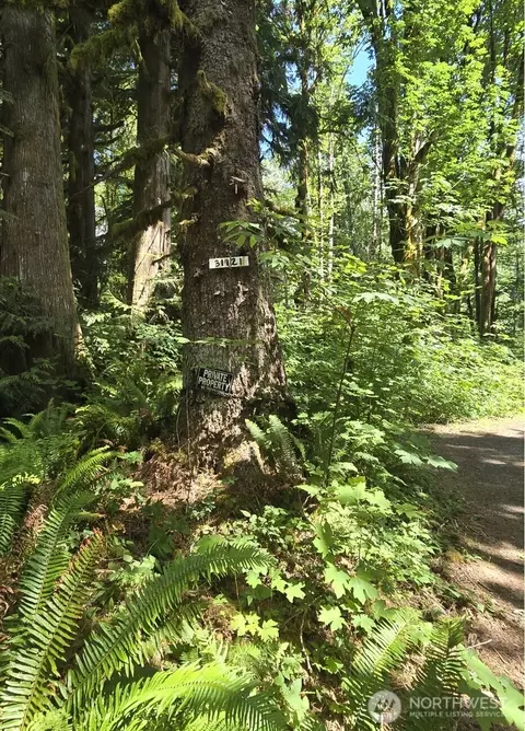 31121 403rd Dr NE, Arlington, WA 98223