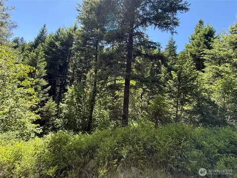 0 Tbd Toroda Creek Rd, Wauconda, WA 98859