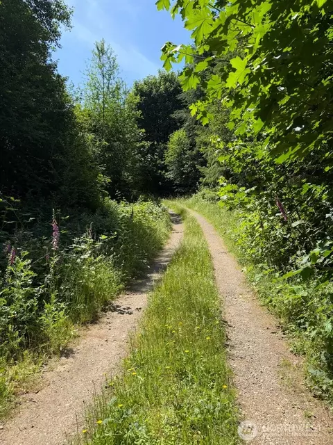 434 W Bulb Farm Rd, Shelton, WA 98584