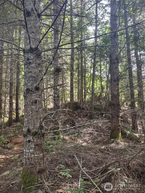 0 Hansen Rd, Port Angeles, WA 98363
