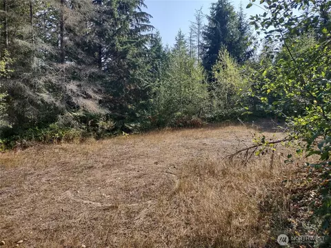 0 Blue Valley Rd, Port Angeles, WA 98362