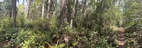 0 Fowler Park, Port Townsend, WA 98368