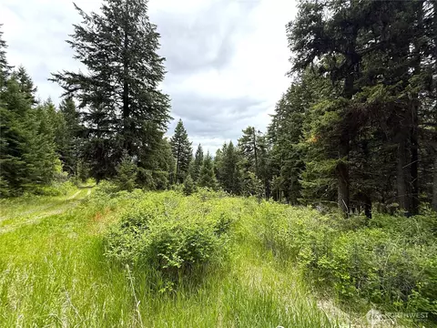 0 Pontiac Ridge Rd, Oroville, WA 98844