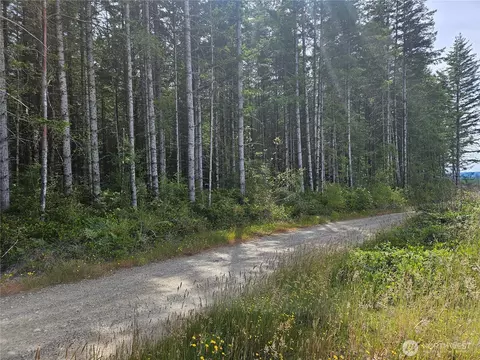 0 Nka L Lee Valley Rd, Quilcene, WA 98376