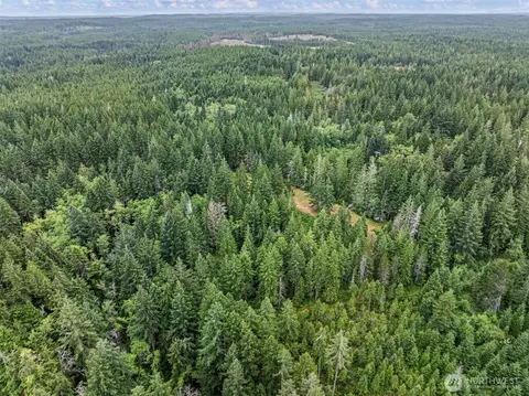 80 NE Smithy Forge Ln, Belfair, WA 98528 photo 1