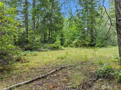 80 NE Smithy Forge Ln, Belfair, WA 98528 photo 6