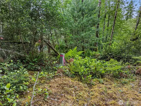 80 NE Smithy Forge Ln, Belfair, WA 98528 photo 17