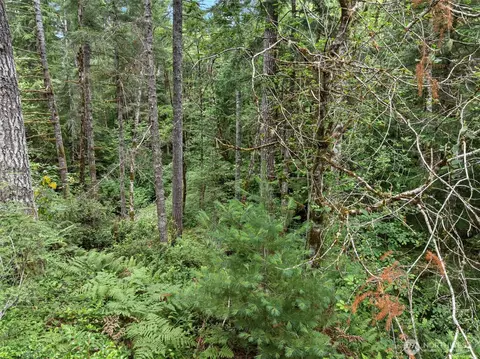 80 NE Smithy Forge Ln, Belfair, WA 98528 photo 16