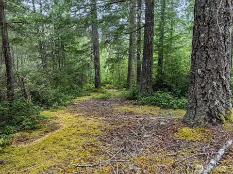 80 NE Smithy Forge Ln, Belfair, WA 98528 photo 15