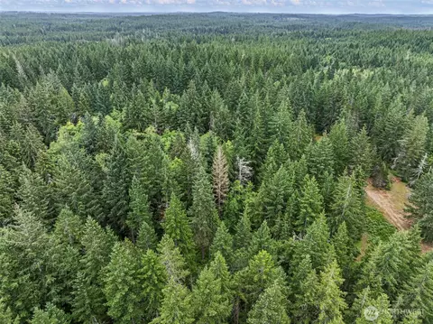 80 NE Smithy Forge Ln, Belfair, WA 98528 photo 19
