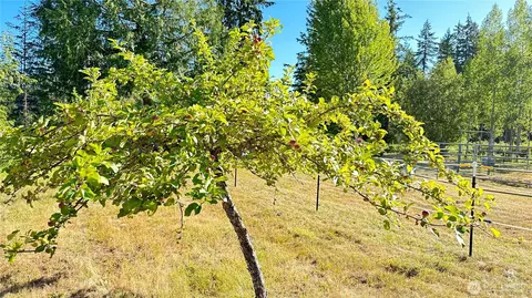Exterior - 11 E Michigan School Rd, Sequim, WA 98382 photo 3 of 12