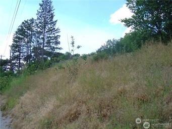 0 Nna Riverview Cemetery Rd, Chelan, WA 98816