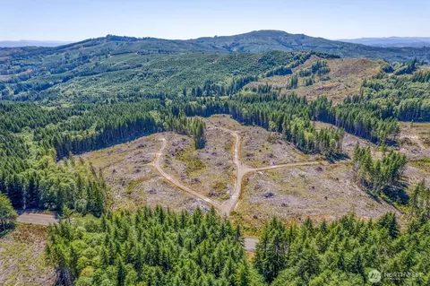 0 Ocean Beach Hwy, Skamokawa, WA 98647