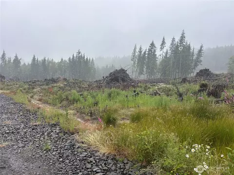 0 Ocean Beach Hwy, Skamokawa, WA 98647