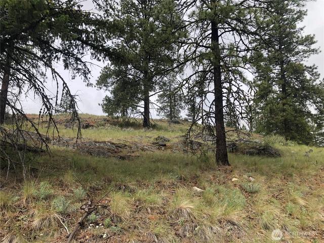 227 Point Dr, Oroville, WA 98844