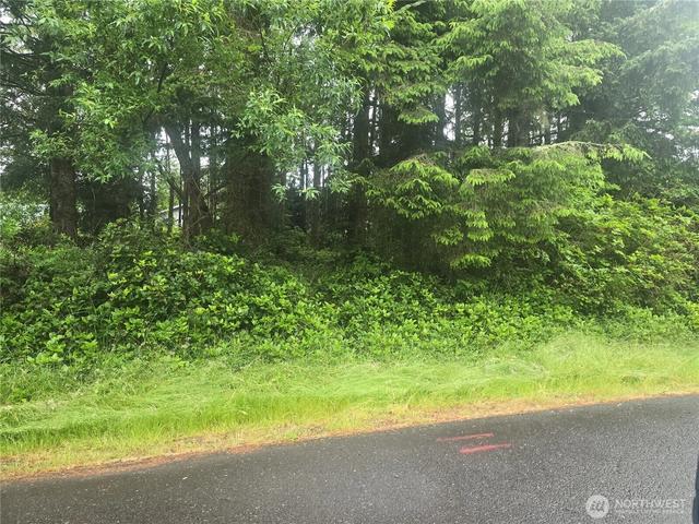563 Weratherwax Loop NE, Ocean Shores, WA 98569