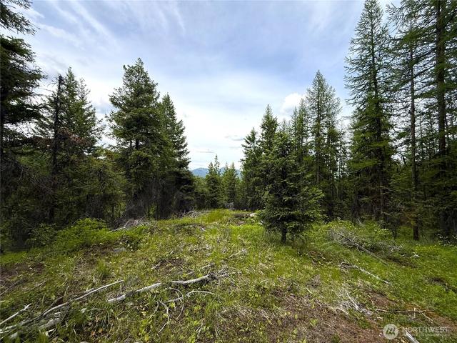 0 Tbd Mule Deer Rd, Republic, WA 99166