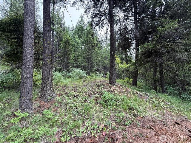 0 Mule Deer Rd, Republic, WA 99166
