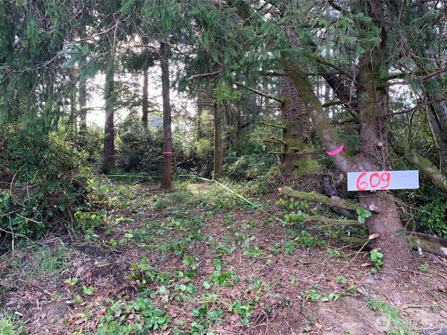609 Weatherwax, Ocean Shores, WA 98569