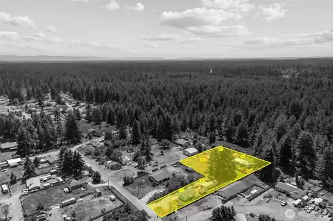 View/Area - 20106 2nd Ave E, Spanaway, WA 98387 photo 11 of 14