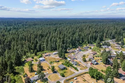 View/Area - 20106 2nd Ave E, Spanaway, WA 98387 photo 4 of 14