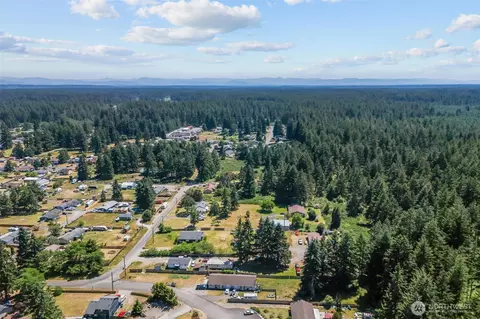 View/Area - 20106 2nd Ave E, Spanaway, WA 98387 photo 9 of 14