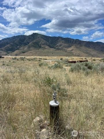 0 Lot 1 Bill Shaw Rd, Pateros, WA 98846