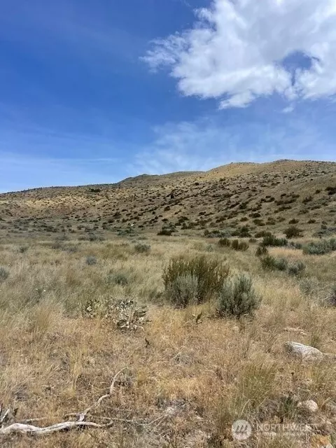 410 Lot 2 Bill Shaw Rd, Pateros, WA 98846