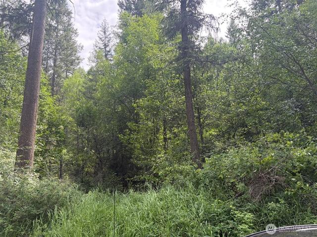 111 Tbd Lambert Creek Rd, Republic, WA 99166