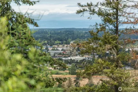 View/Area - 20 Doe Run Rd, Sequim, WA 98382 photo 4 of 4
