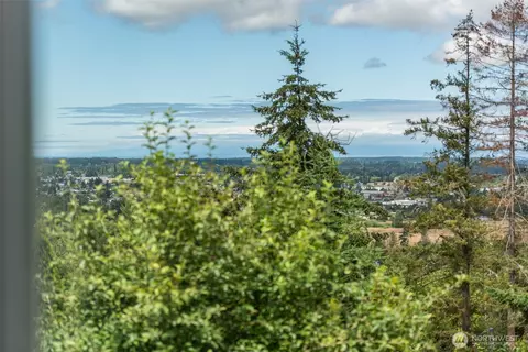 View/Area - 20 Doe Run Rd, Sequim, WA 98382 photo 3 of 4