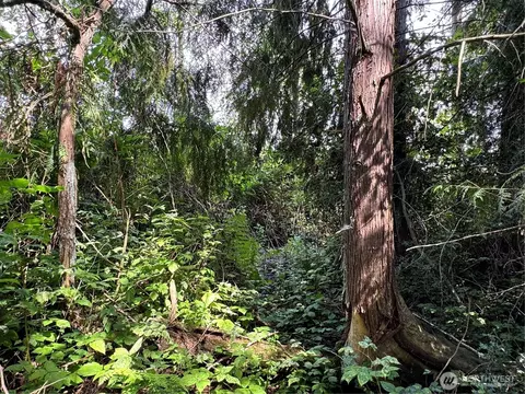 0 43rd Ave SE, Everett, WA 98201 photo 18