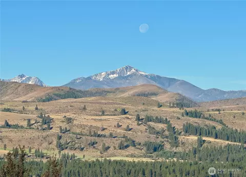 42 Prospect Rd, Winthrop, WA 98862