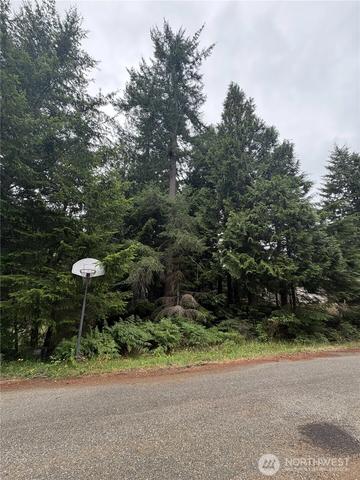 141 SE Azalea Pl, Shelton, WA 98584