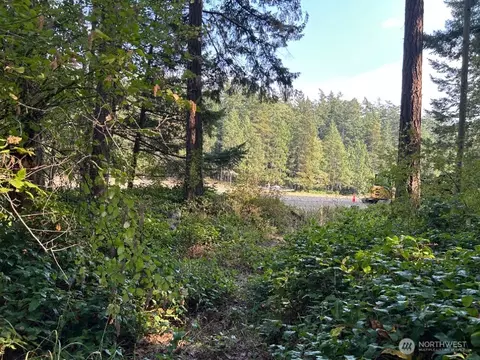 135 Chinook Way, Center Island, WA 98221