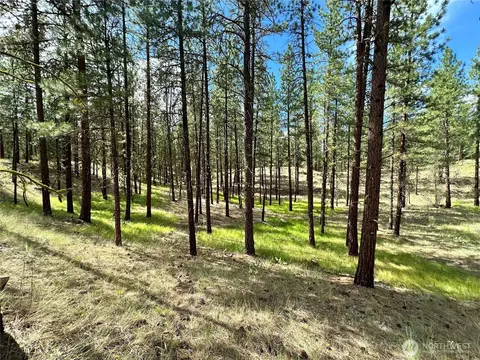 67 Larkspur Dr, Winthrop, WA 98862